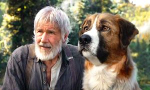 Harrison Ford vo filme Volanie divočiny