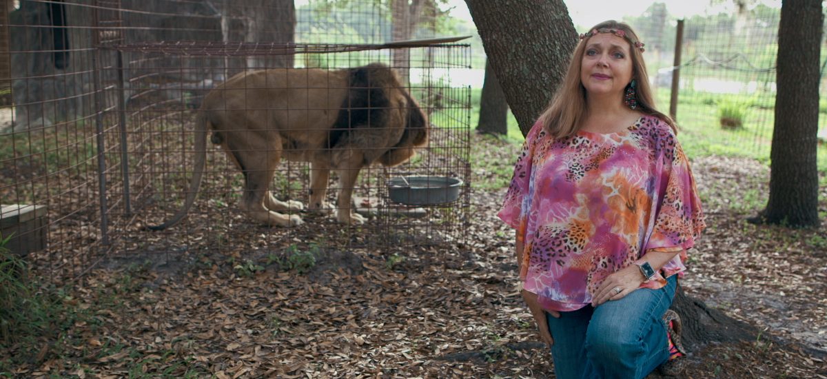 Carole Baskin vo svojej zoo s levom v pozadí