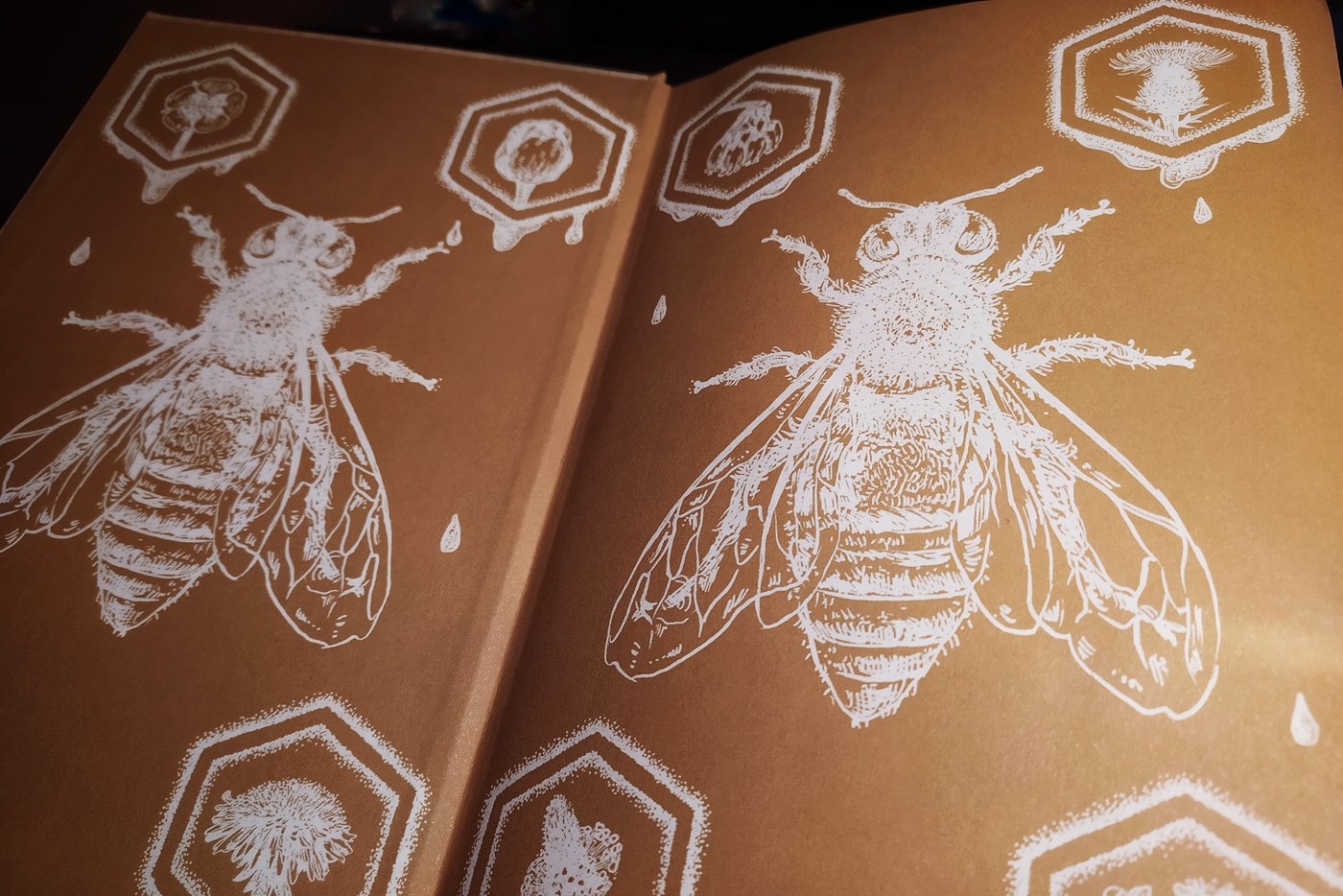 Kniha Príbeh včiel