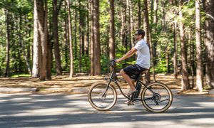 ebike_3