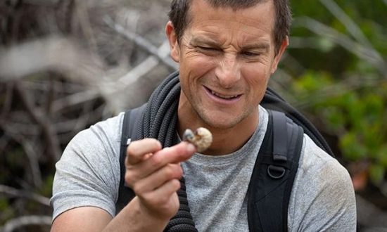 Bear Grylls