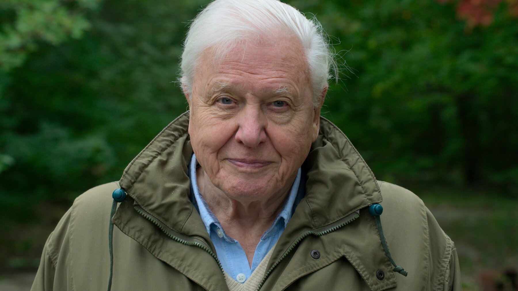Seriál moderuje slávny rozprávač David Attenborough