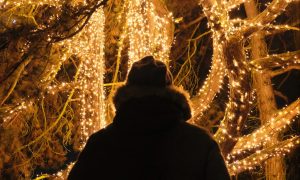 horoskop na december 2021