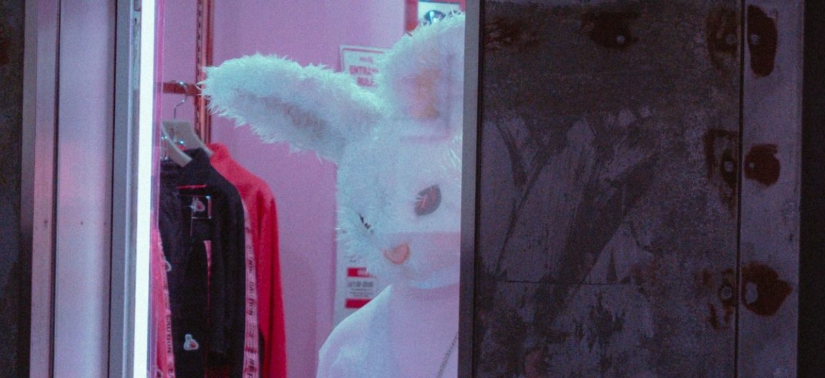 bad bunny pink ružový králik zajac zlý