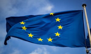 Občianska náuka: Vstup Slovenska do Európskej únie.