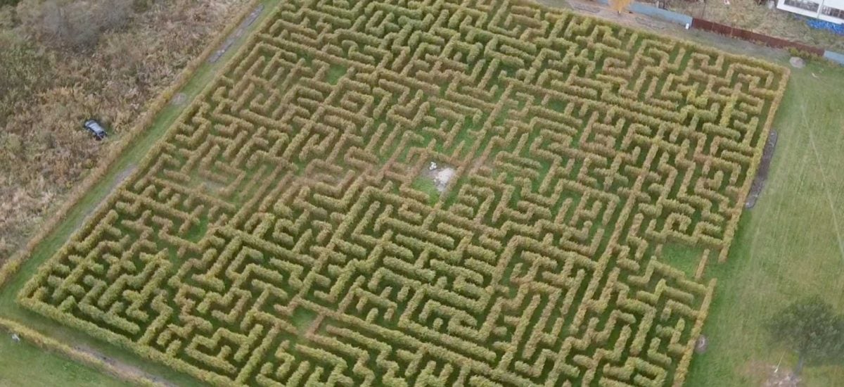 Labyrint v Starej Ľubovni