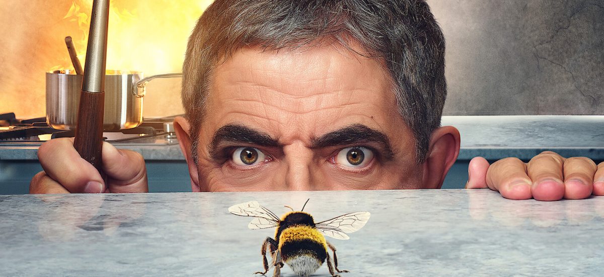 Rowan Atkinson v sitcome Man vs. Bee