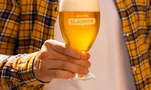 ŠARIŠ Dobrodruh Volba Sládkov