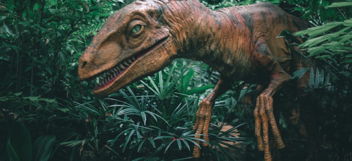 Neznámy kupec vydražil vzácnu kostru obrovského mäsožravého dinosaura