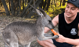 Michal Mikuláš cestovka pre mladých