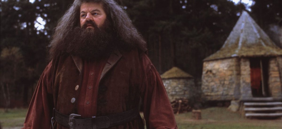 Robbie Coltrane ako Hagrid