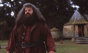 Robbie Coltrane ako Hagrid