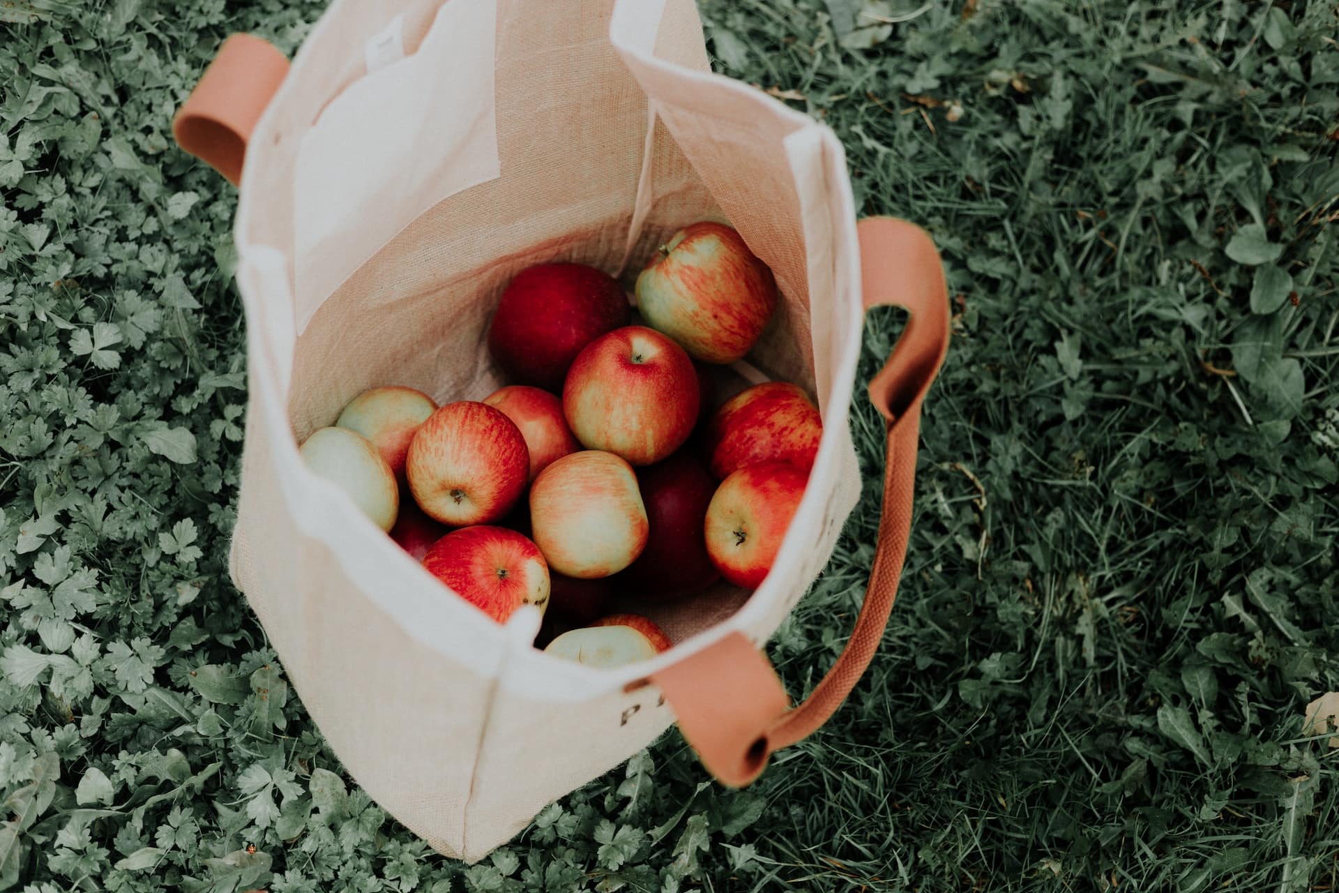 jablká v nákupnej textilnej taške