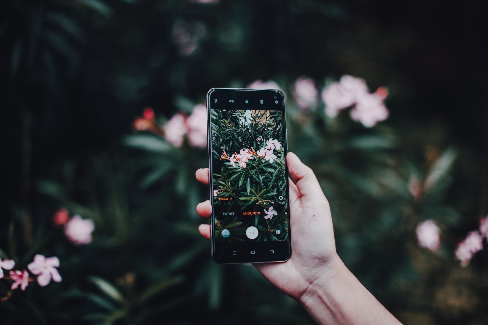 fotografovanie detailu kvetu mobilom