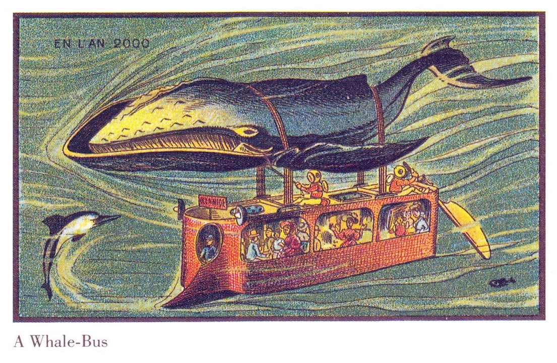 veľrybí autobus