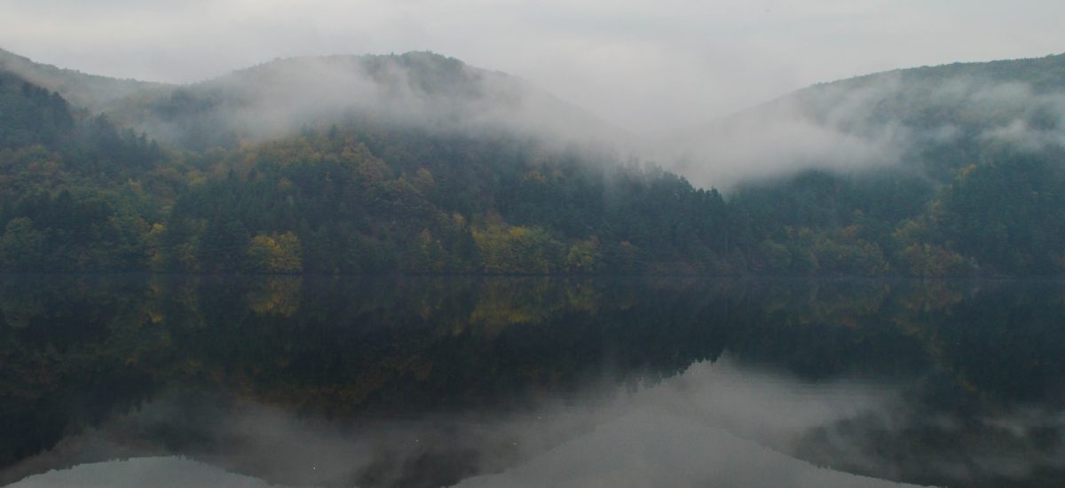 Zahmlená scenéria jazera a lesa
