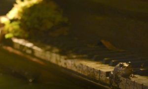 Scéna so žabou v seriáli The Last of Us