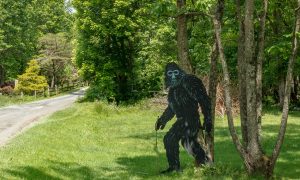 Bigfoot