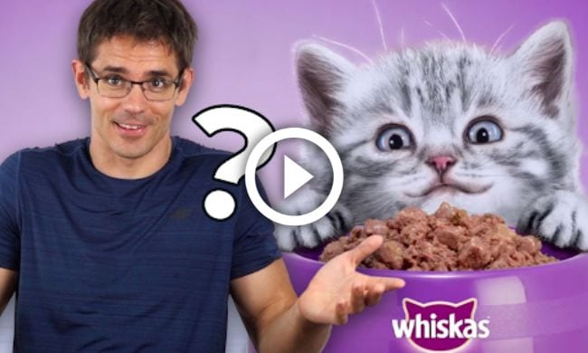 reklama Whiskas na krmivo pre mačky 
