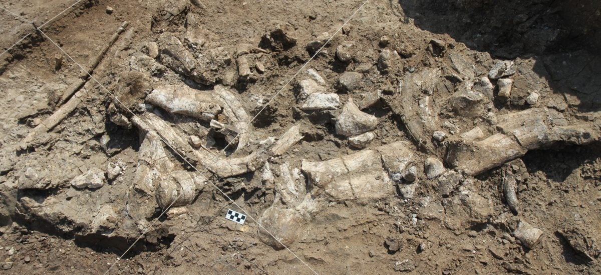 Najstaršie kamenné nástroje nájdené v Afrike