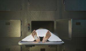 laboratórium a pitevňa