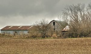 žrebčín Slovensko