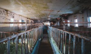 urbex farma
