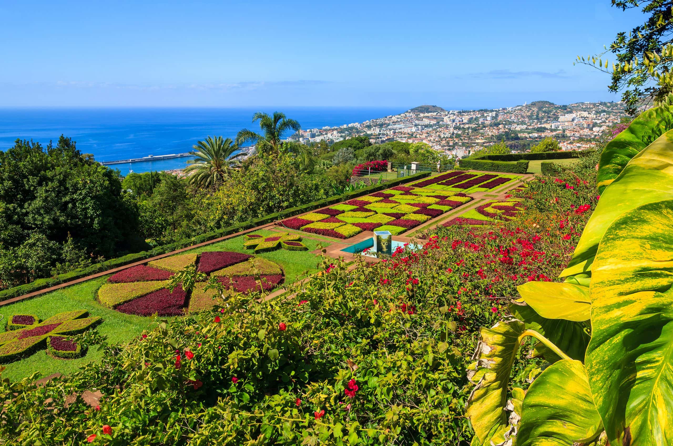 tropická záhrada Madeira