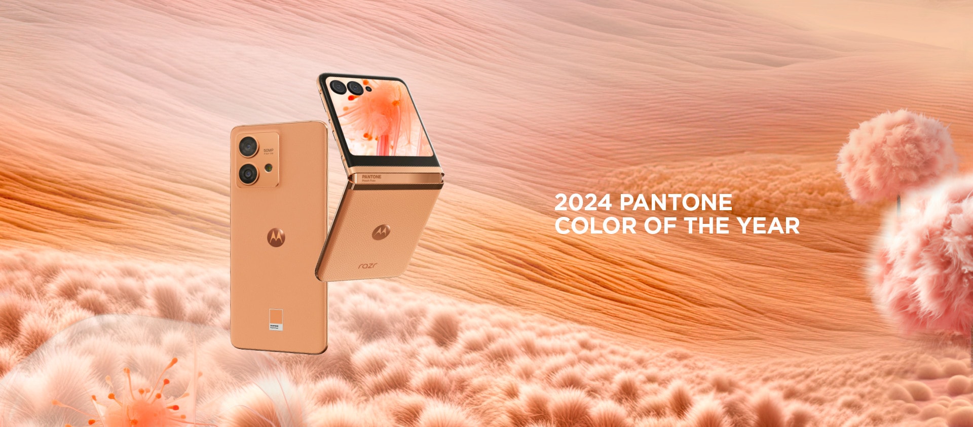 Farbou roka 2024 je Peach Fuzz