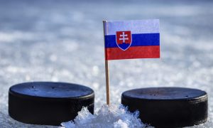 Slovenská vlajka medzi pukmi.