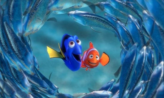 Hľadá sa Nemo