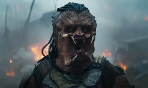 Predator