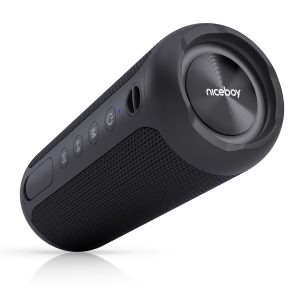 Niceboy Raze Polaris