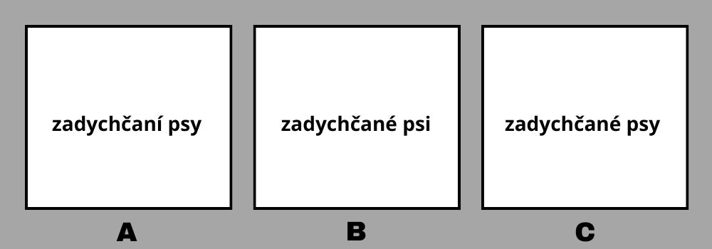 gramatika diktát