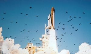 raketoplán challenger