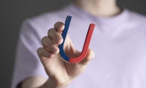 fyzika magnet