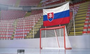 slovensko-hokej