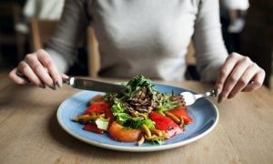 Mäsožravci a vegetariáni