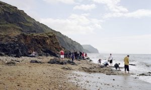 Ľudia hľadajú fosílie na pláži Jurassic Coast v grófstve Dorset.