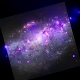 NGC 4490 (Zdroj: Chandra)