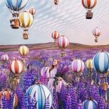 Balloons-are-my-daily-inspiration-5a61cc8289346__880